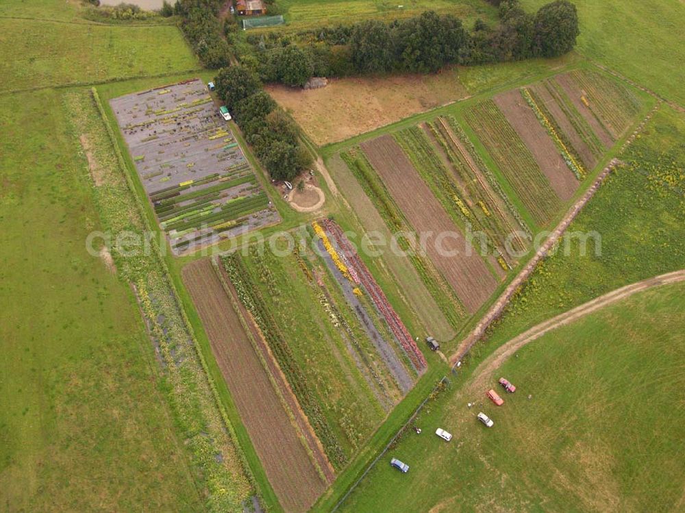 Aerial photograph Pirna (Sachsen) - Blick auf den Gartenbaubetrieb am Flugplatz Pirna