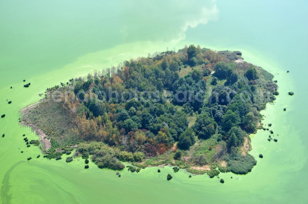 Aerial image Quitzdorf am See - View of heart-shaped island in the dam Quitzdorf in Saxony