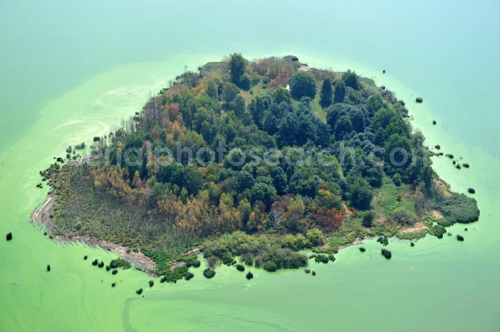 Aerial photograph Quitzdorf am See - View of heart-shaped island in the dam Quitzdorf in Saxony
