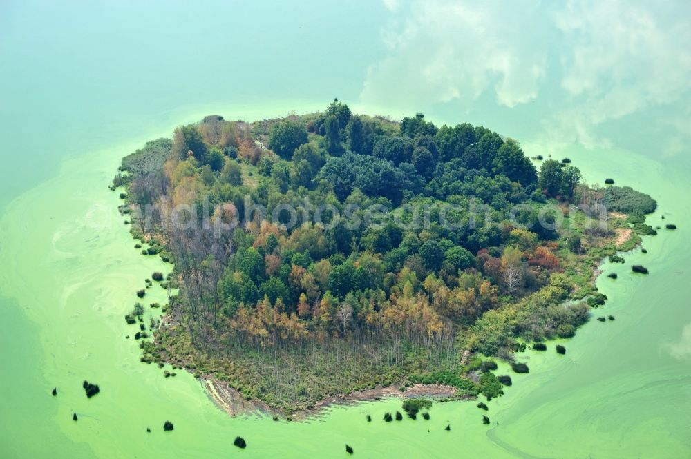 Quitzdorf am See from above - View of heart-shaped island in the dam Quitzdorf in Saxony