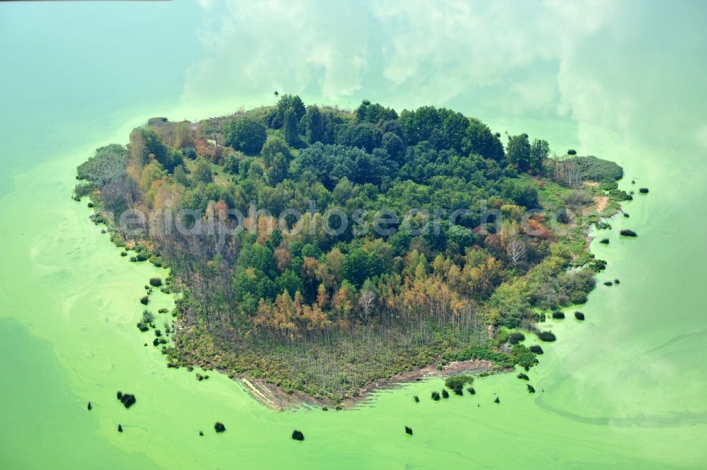 Quitzdorf am See from the bird's eye view: View of heart-shaped island in the dam Quitzdorf in Saxony
