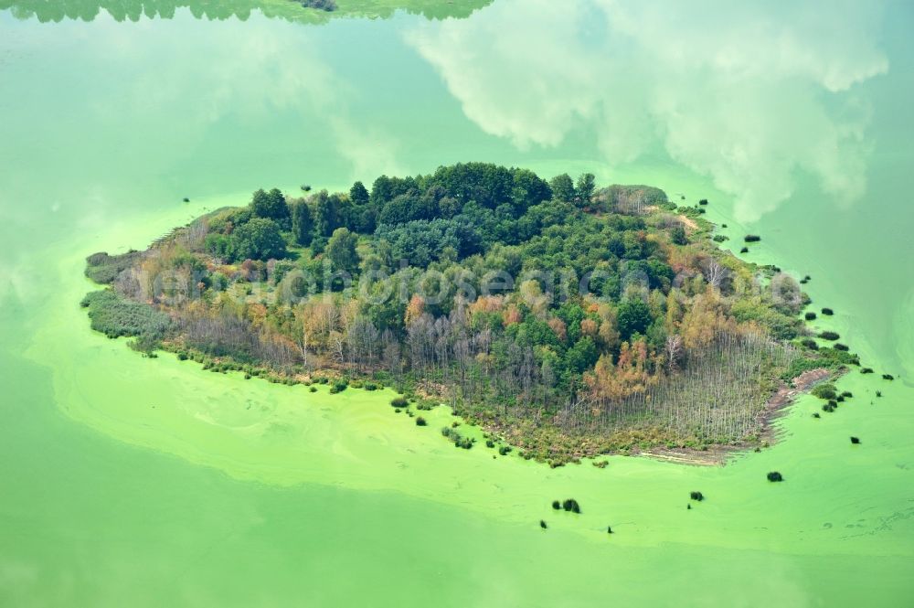 Aerial image Quitzdorf am See - View of heart-shaped island in the dam Quitzdorf in Saxony