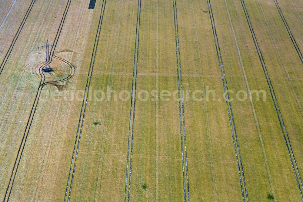 Aerial photograph Schnaudertal - Traces of tillage due to drill marks in the seed and tillage on an agricultural field in the district Wittgendorf in Schnaudertal in the state Saxony-Anhalt, Germany