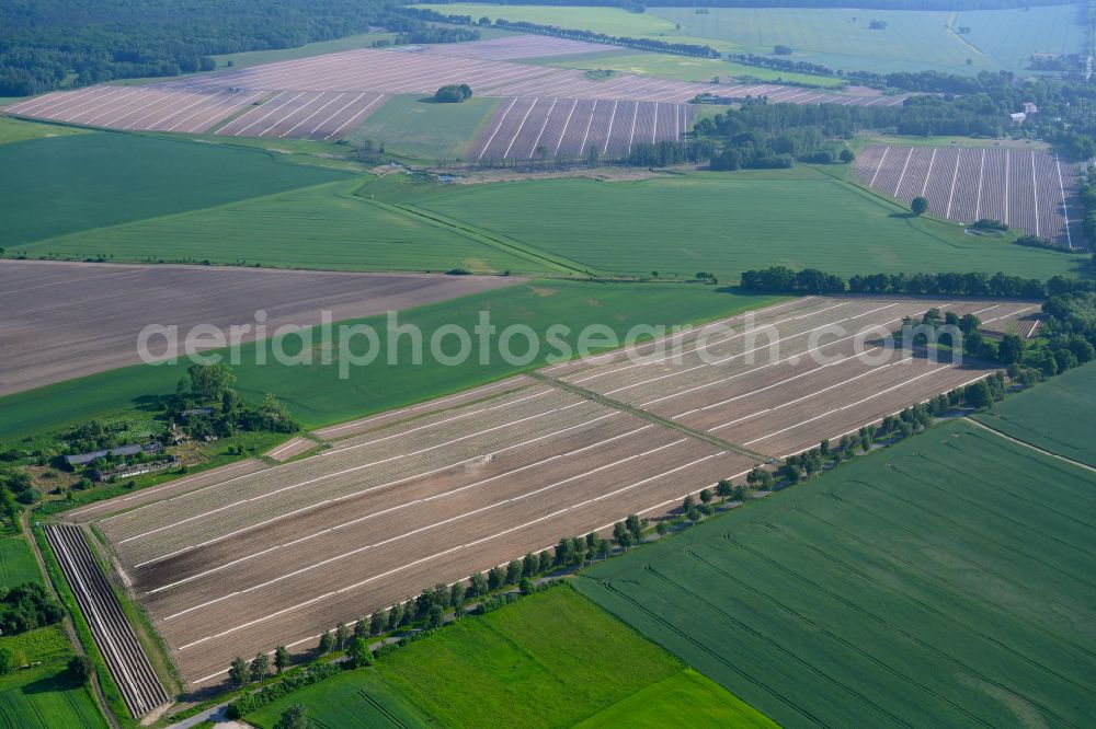 Aerial image Sonnenberg - Traces of tillage due to drill marks in the seed and tillage on an agricultural field in Sonnenberg in the state Brandenburg, Germany