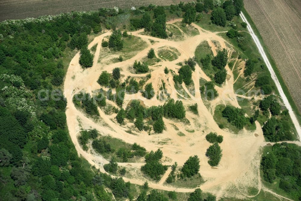 Aerial photograph Bördeland - Fallow land overgrown with trees surrounded by fields at the Wartenberg near Brumby in Boerdeland in the state Saxony-Anhalt