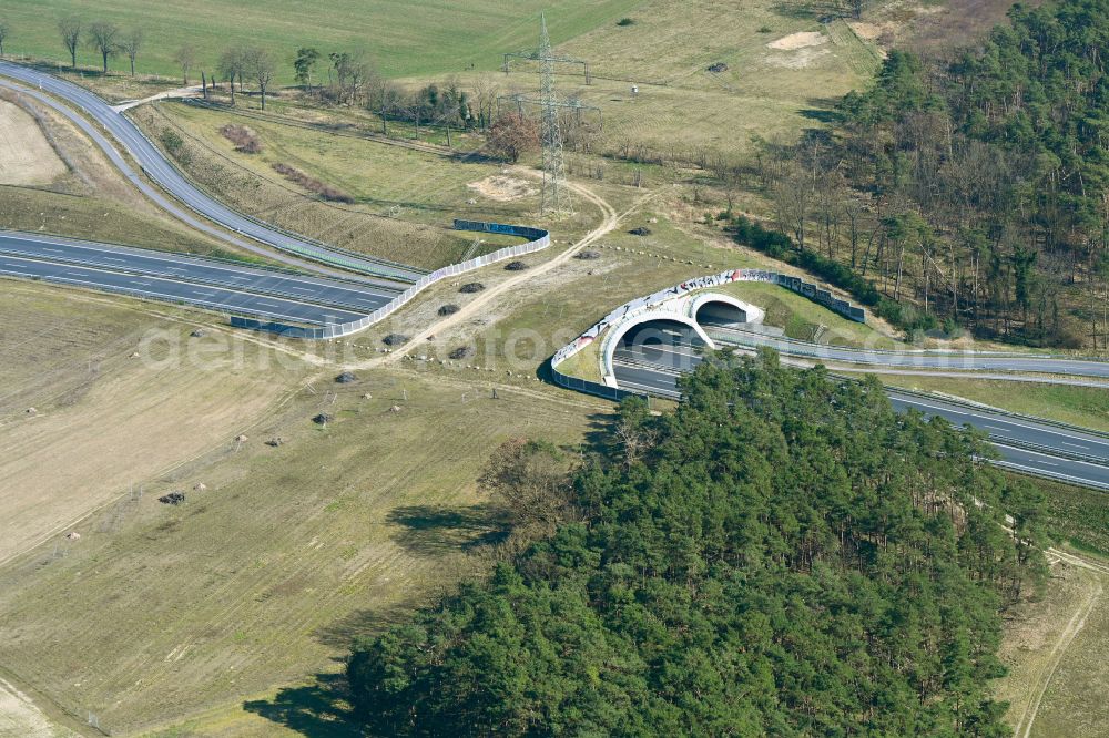 Aerial image Thyrow - Bridge structure of a wild bridge - wildlife crossing bridge designed as a green bridge on the B101 road in Thyrow in the state Brandenburg, Germany