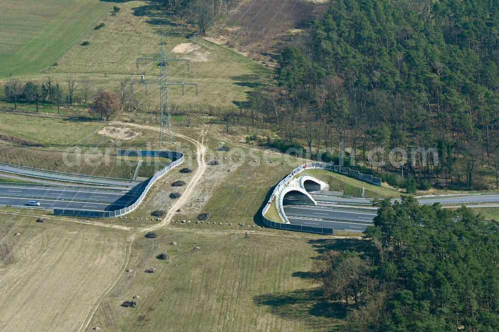 Aerial photograph Thyrow - Bridge structure of a wild bridge - wildlife crossing bridge designed as a green bridge on the B101 road in Thyrow in the state Brandenburg, Germany