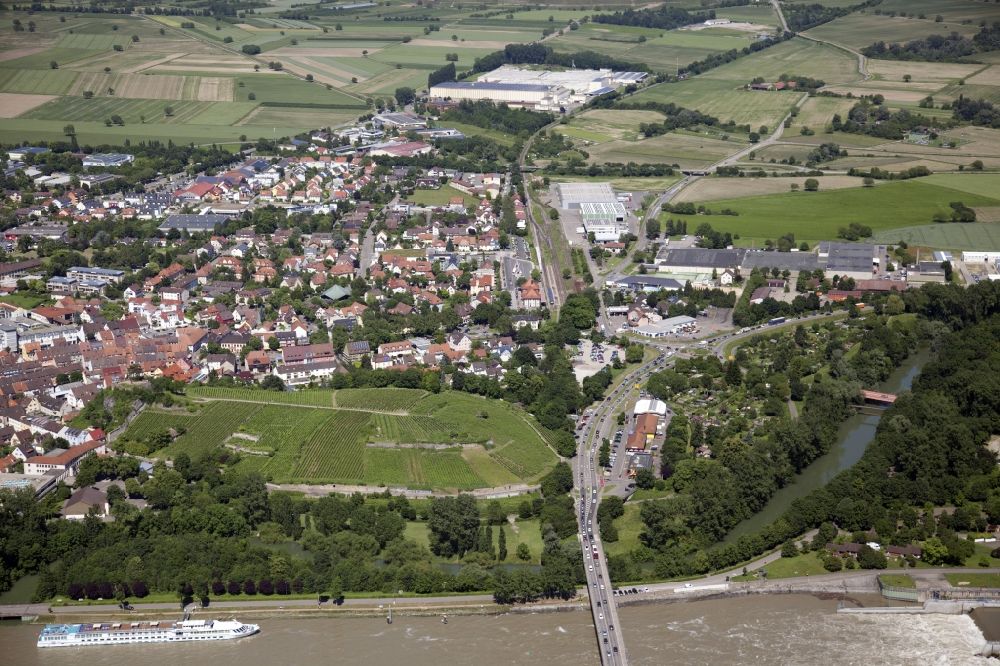 Aerial photograph Breisach am Rhein - Breisach am Rhein in the state Baden-Wuerttemberg. Below the Rhine river as a border to France, in the center the Eckartsberg, planted with vines