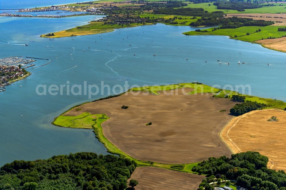 Maasholm from above - Water surface with sailing ships in motion at the Schlei bay along the sea coast of the baltic sea in Maasholm in the state Schleswig-Holstein, Germany