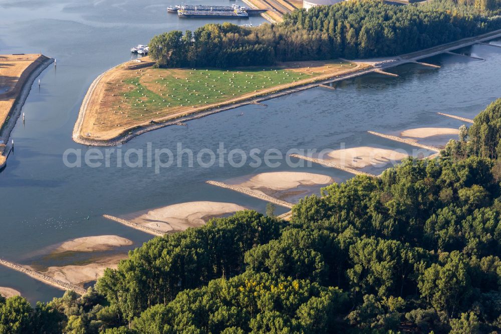 Aerial image Karlsruhe - Groyne head of the of the Rhine river - river course in the district Daxlanden in Karlsruhe in the state Baden-Wuerttemberg, Germany