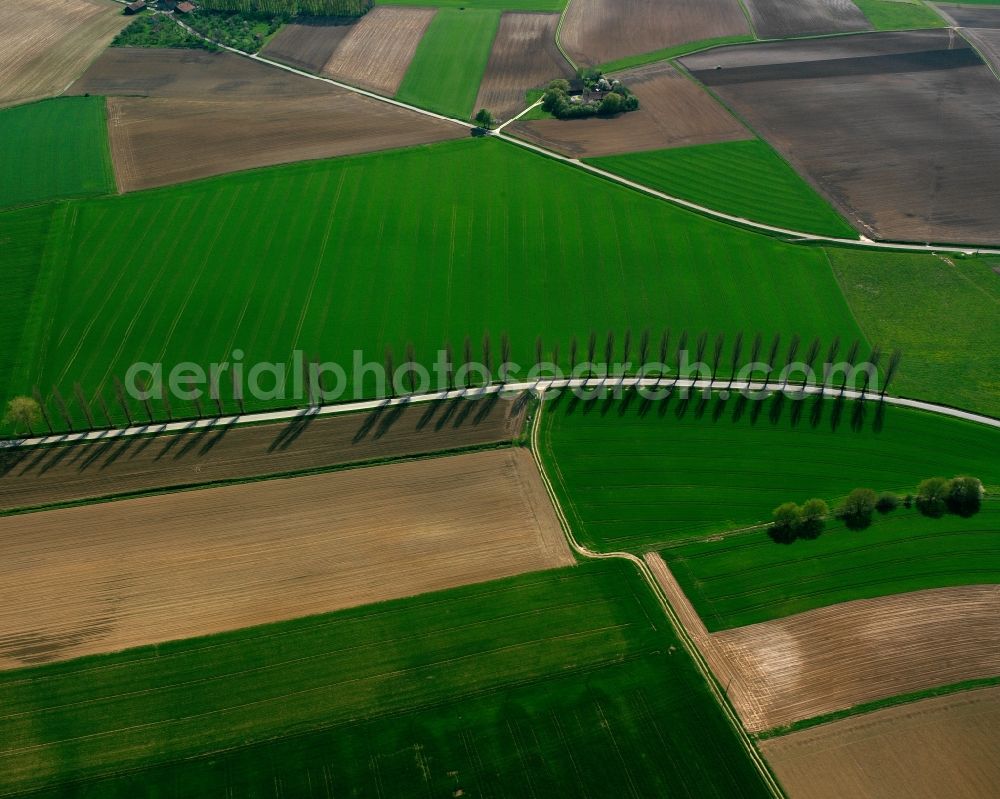 Leiblfing from above - Trees with shadow forming by light irradiation on a field in Leiblfing in the state Bavaria, Germany