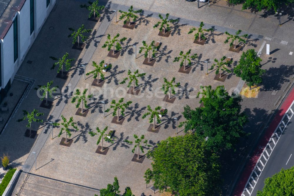 Aerial image Hannover - Trees with shadows caused by light radiation on the square in front of the Lower Saxony state parliament in Hanover in the state Lower Saxony, Germany