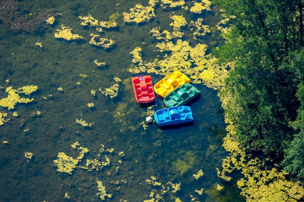 Gladbeck from the bird's eye view: Colorful plastic pedal boats on the castle pond Wittringen in Gladbeck in North Rhine-Westphalia