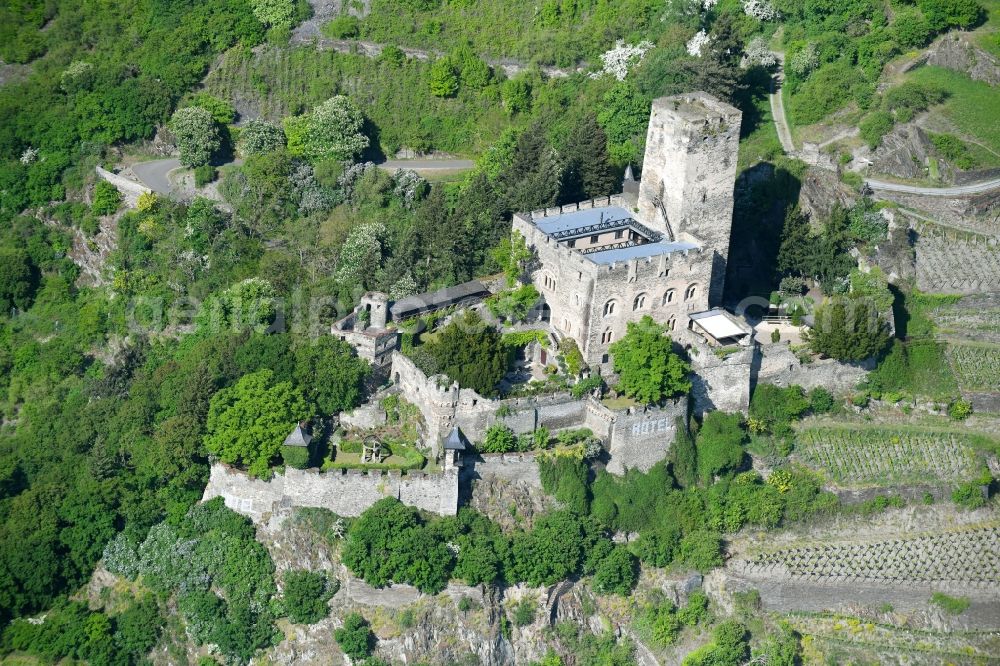 Kaub from above - Castle of the fortress Burg Gutenfels on Schlossweg in Kaub in the state Rhineland-Palatinate, Germany