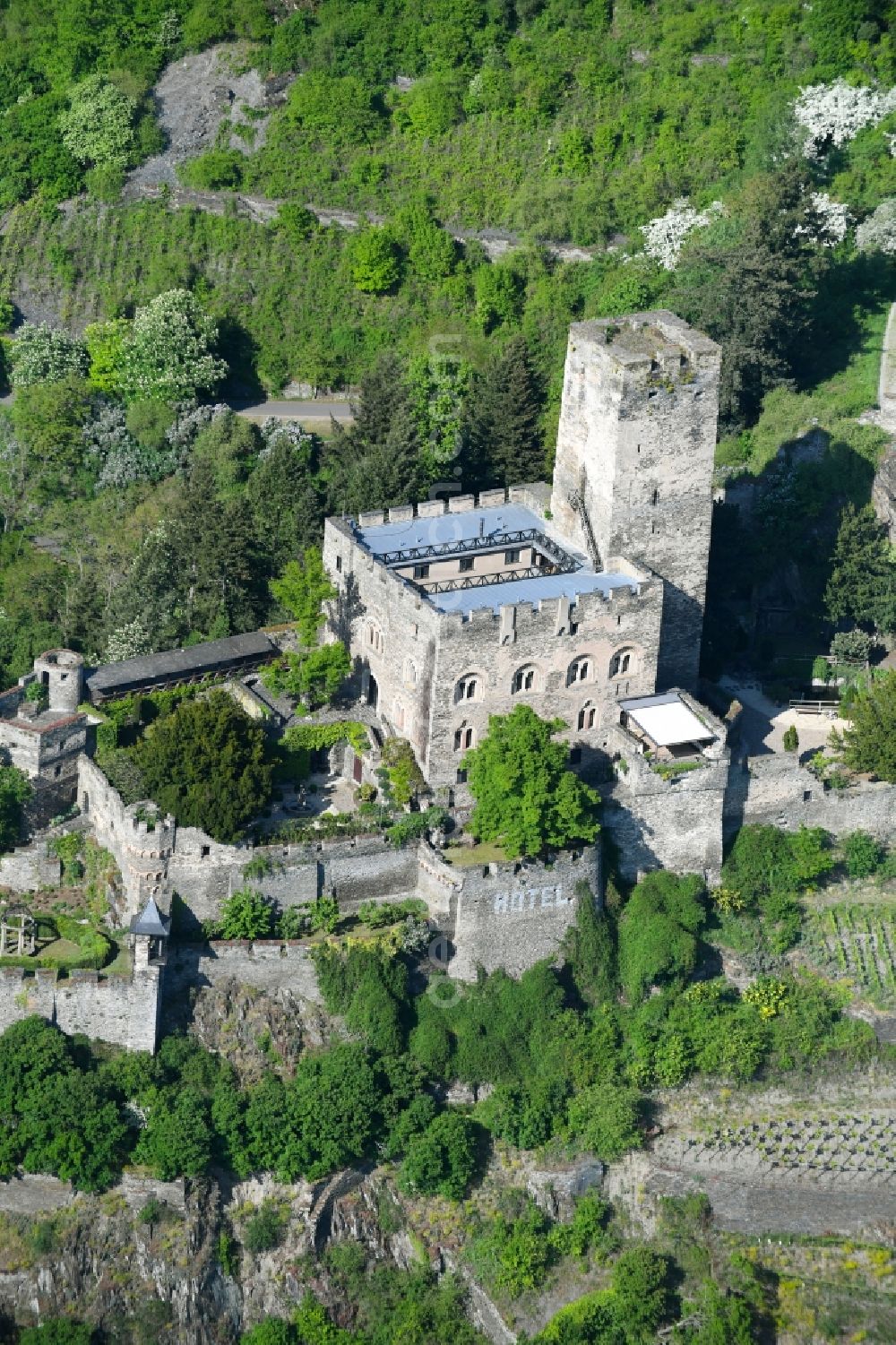 Aerial image Kaub - Castle of the fortress Burg Gutenfels on Schlossweg in Kaub in the state Rhineland-Palatinate, Germany