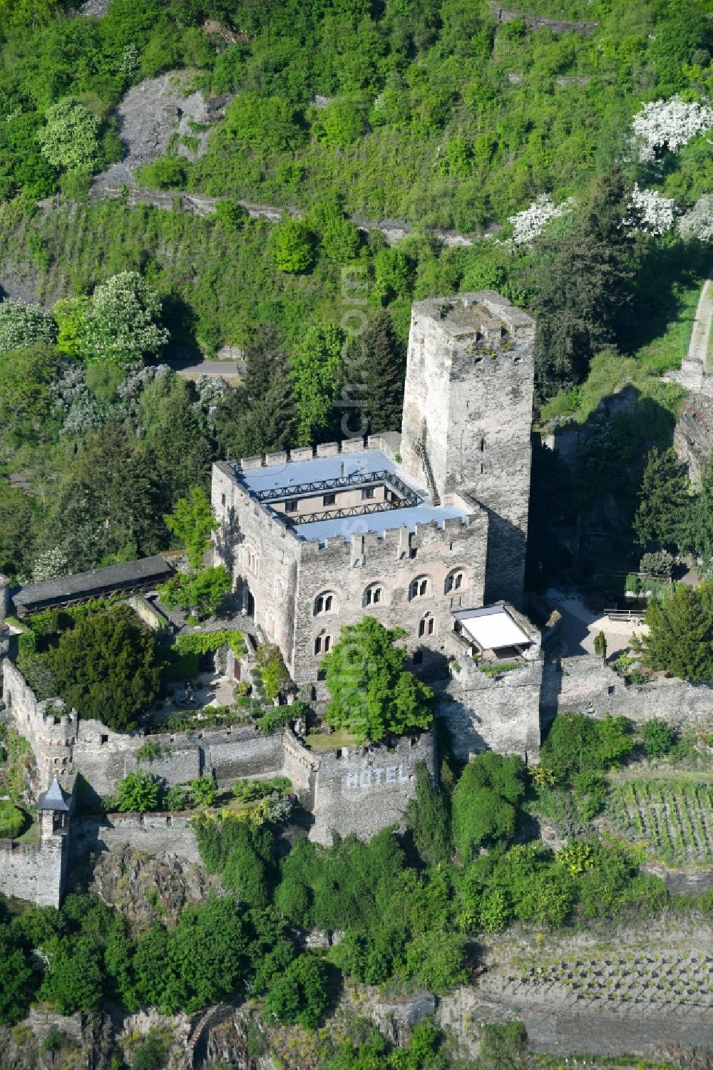 Aerial photograph Kaub - Castle of the fortress Burg Gutenfels on Schlossweg in Kaub in the state Rhineland-Palatinate, Germany