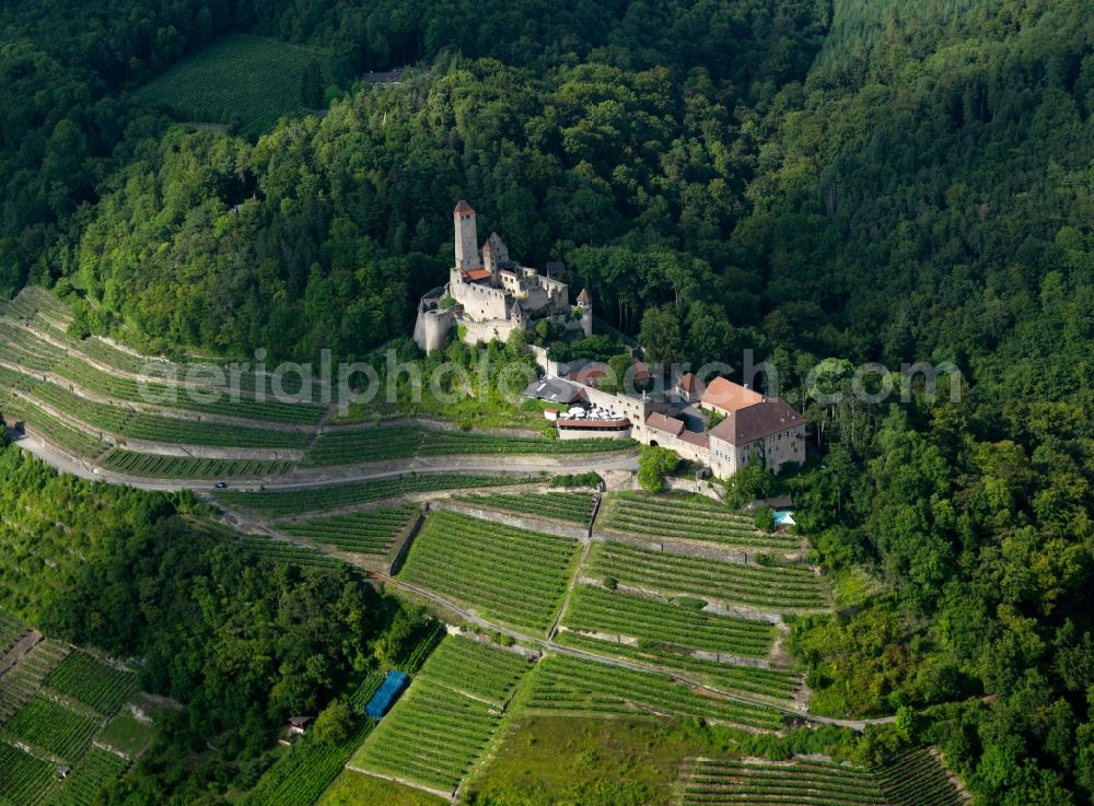 Neckarzimmern from the bird's eye view: Castle Hornberg in the town of Neckarzimmern in the state of Baden-Wuerttemberg. The stronghold is located on a slope of the valley of the river Neckar, surrounded by vineyards and forest. The historic compound from the 12th century was owned by Goetz von Berlichingen in the 16th century. Remains of the old site are the large half-timber tower, the main tower and castle keep as well as the gates