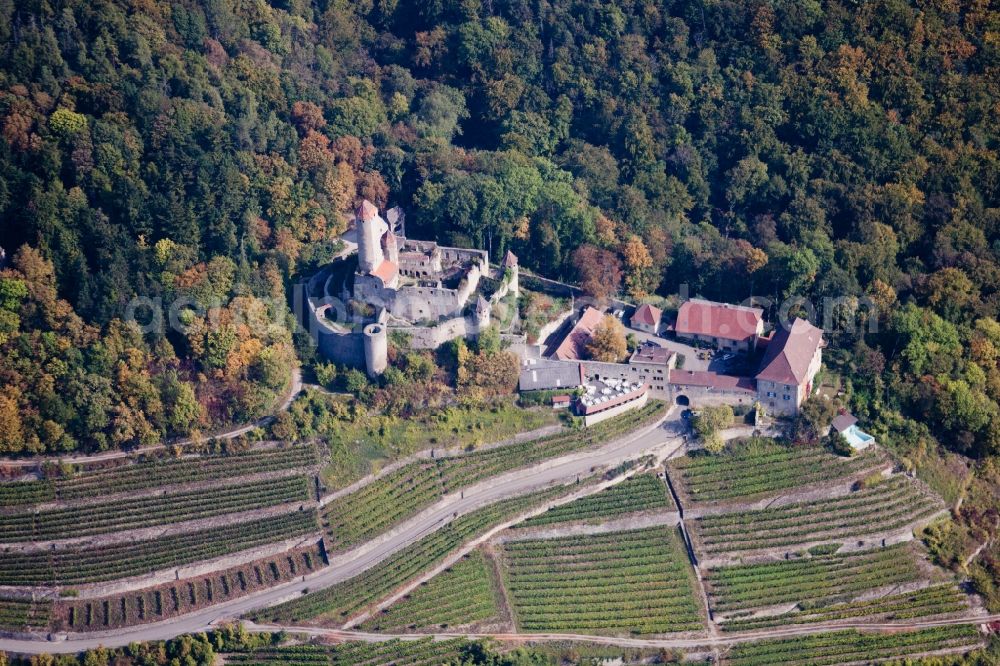 Neckarzimmern from the bird's eye view: Castle Hornberg in the town of Neckarzimmern in the state of Baden-Wuerttemberg. The stronghold is located on a slope of the valley of the river Neckar, surrounded by vineyards and forest