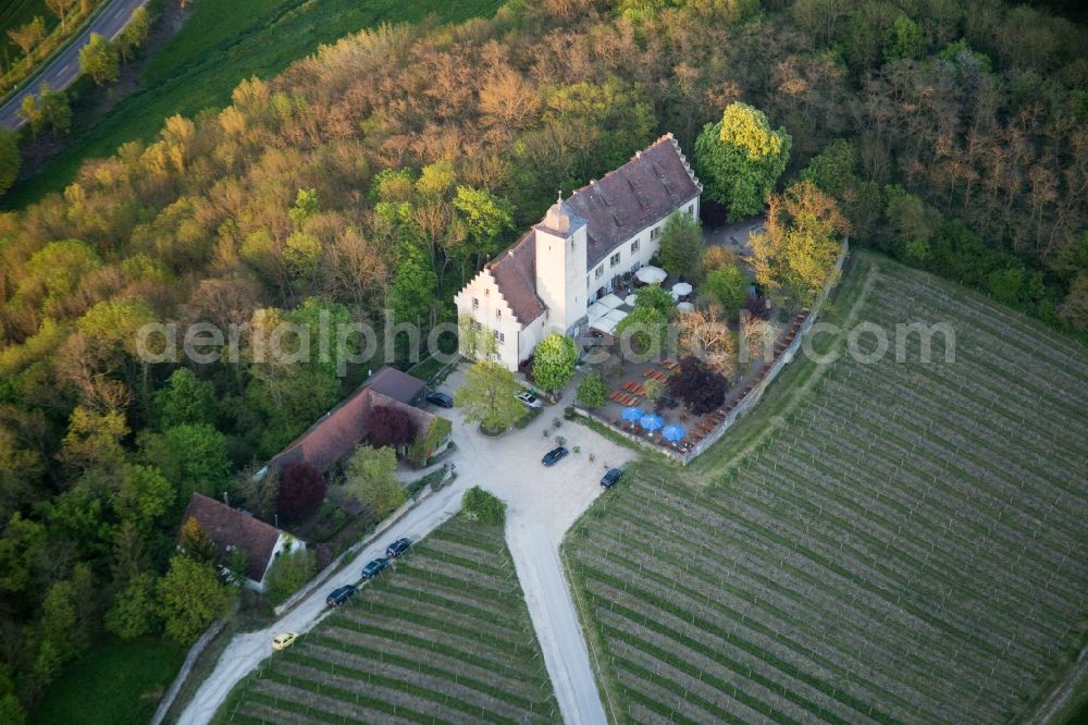 Volkach from above - Castle of Hallburg Vinothek with wine yard in Volkach in the state Bavaria, Germany