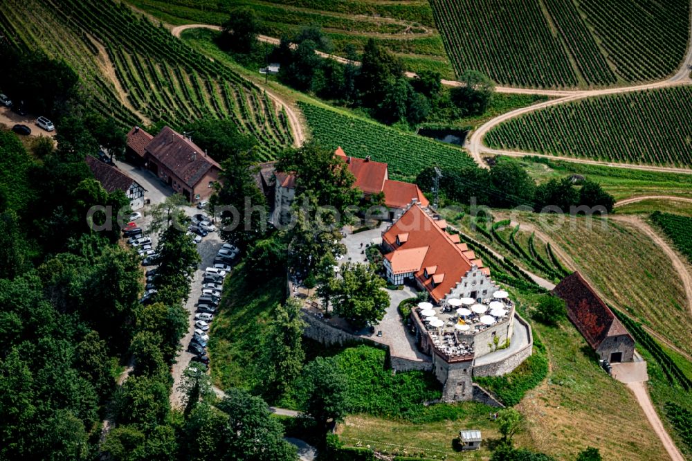 Durbach from the bird's eye view: Castle of Schloss Staufenberg in Durbach in the state Baden-Wurttemberg, Germany