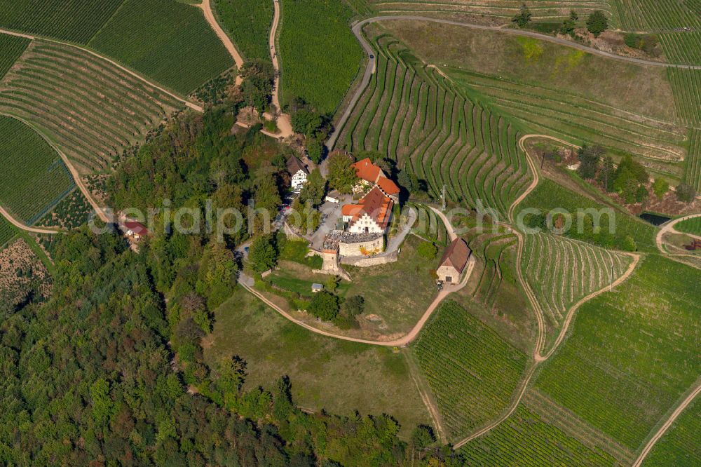 Durbach from above - Castle of Schloss Staufenberg in Durbach in the state Baden-Wuerttemberg, Germany