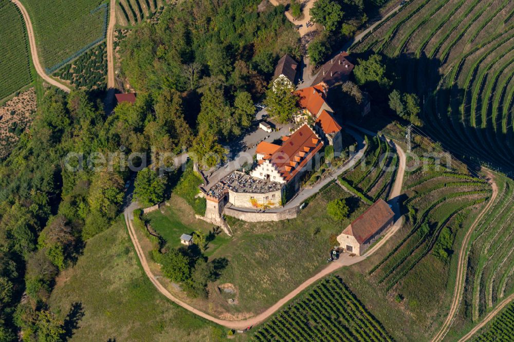 Durbach from the bird's eye view: Castle of Schloss Staufenberg in Durbach in the state Baden-Wuerttemberg, Germany