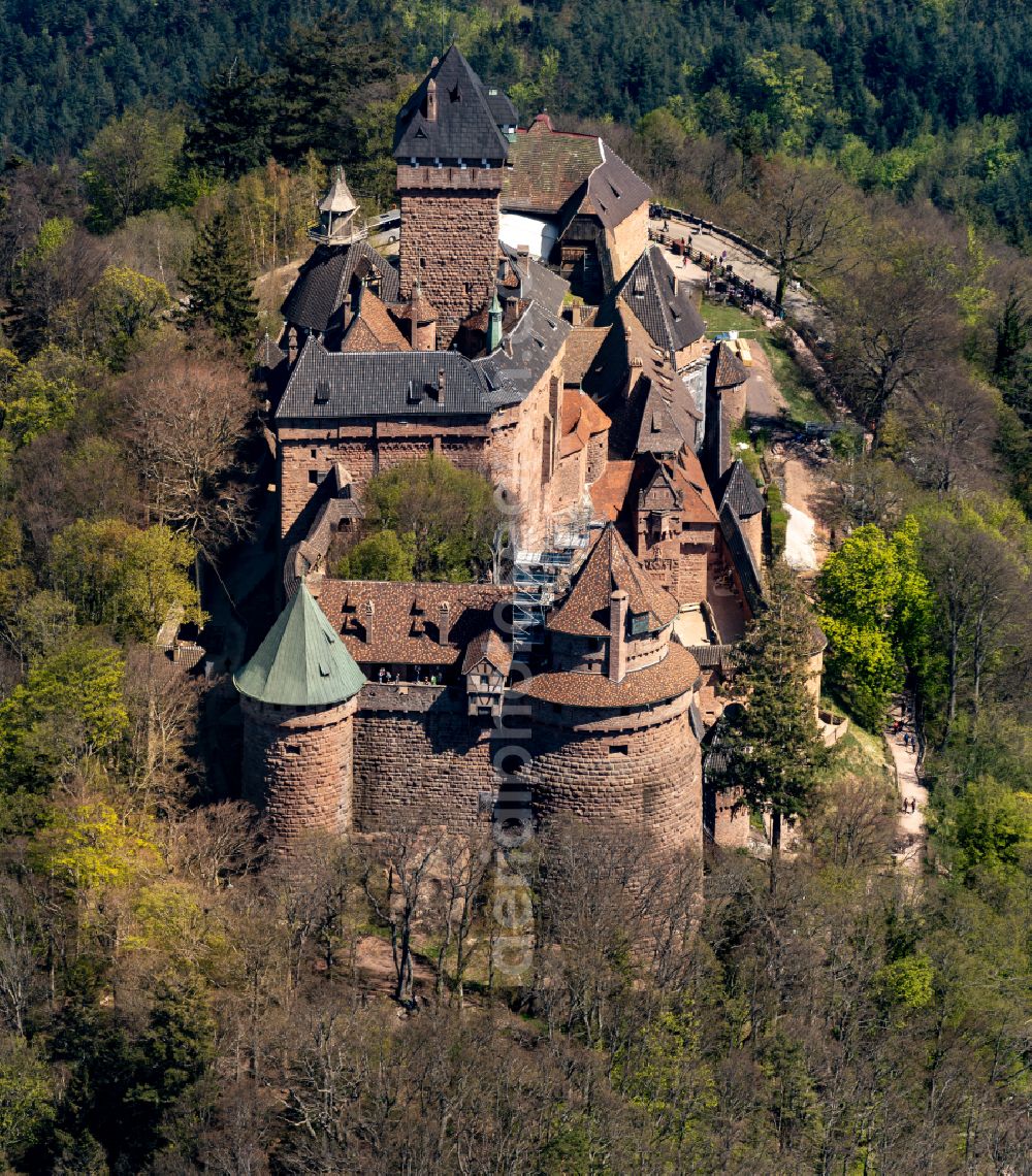 Aerial photograph Orschwiller - Castle of the fortress Hochkoenigsburg on street Chateau du Haut Koenigbourg in Orschwiller in Frankreich