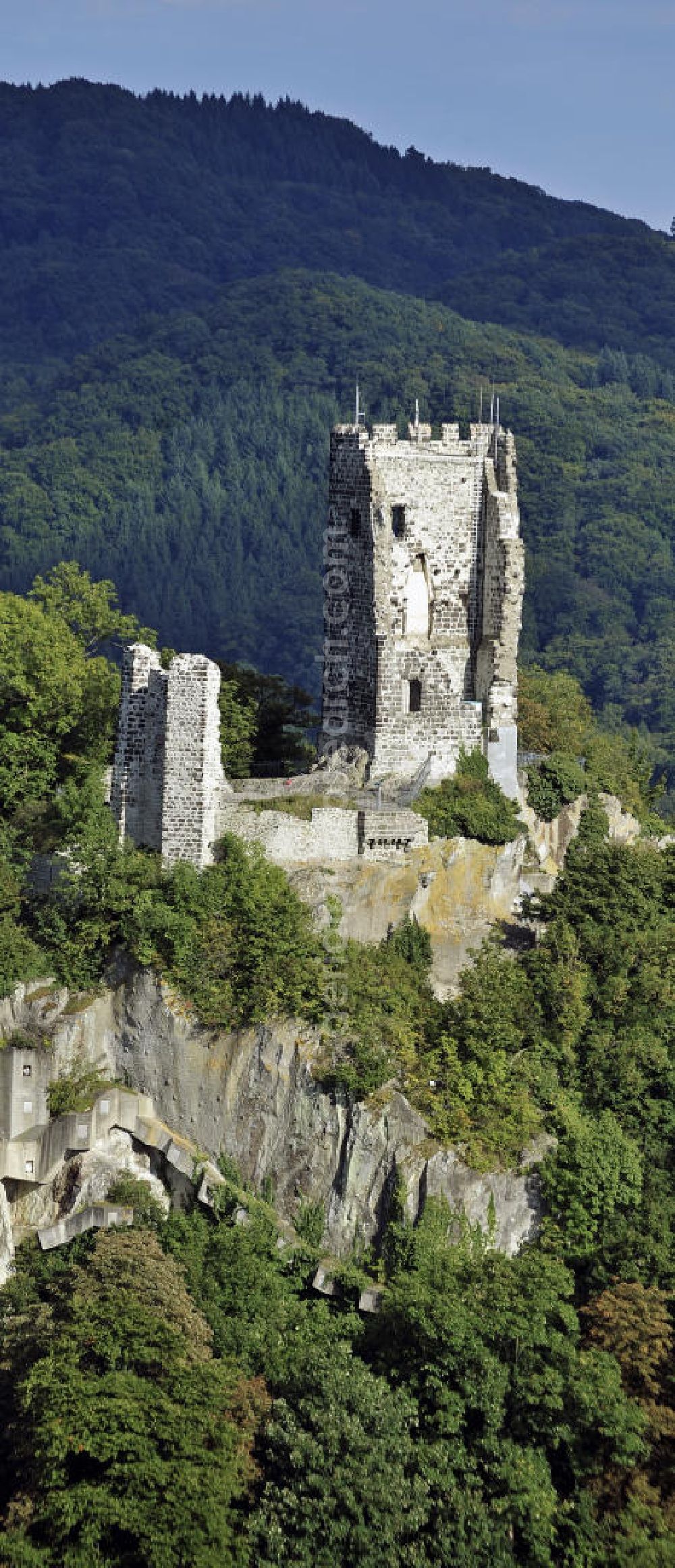Königswinter from above - Blick auf die Burgruine Drachenfels im Siebengebirge. Die Burg wurde im 12. Jahrhundert gebaut und befindet sich auf dem Berg Drachenfels. View of the ruins of the Castle Drachenfels in the Siebengebirge. The castle was built in the 12th Century and is located on Mount Drachenfels.