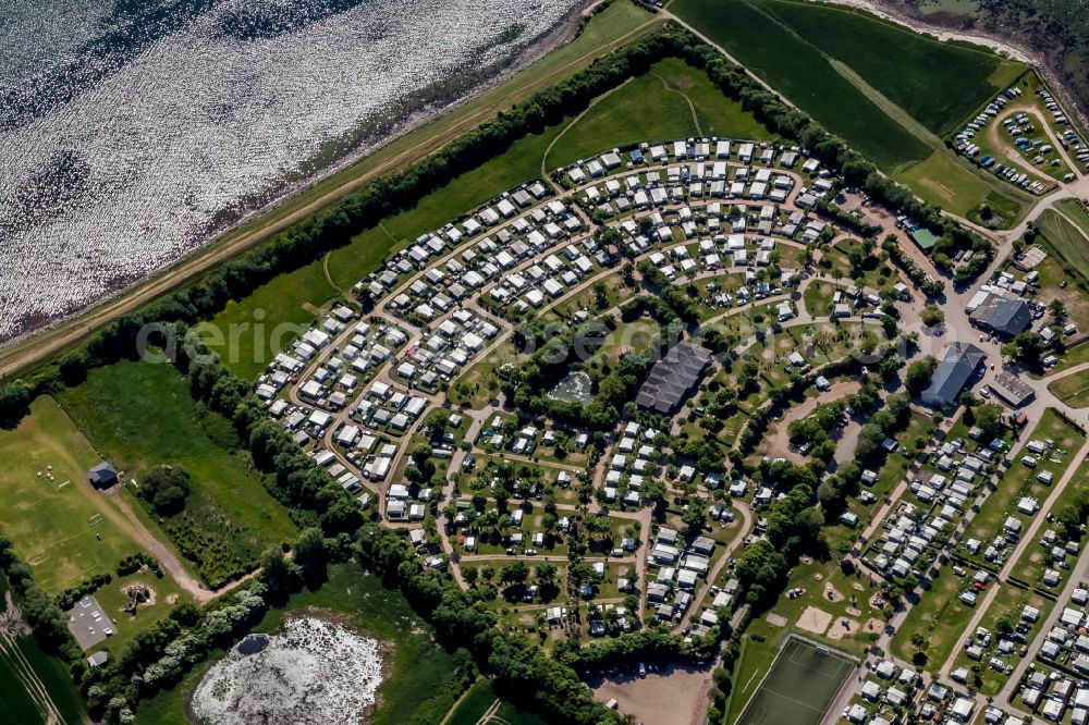 Aerial photograph Fehmarn - Campsite with caravans and tents on the sea coast in Strukkamphuk in Fehmarn on the island of Fehmarn in the state Schleswig-Holstein, Germany