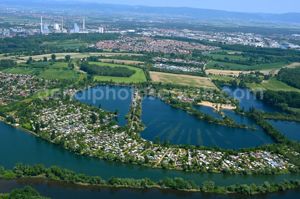 Aerial photograph Altrip - Campsite with caravans and tents on the lake shore Adriaweiher on street Hechteck in Altrip in the state Rhineland-Palatinate, Germany