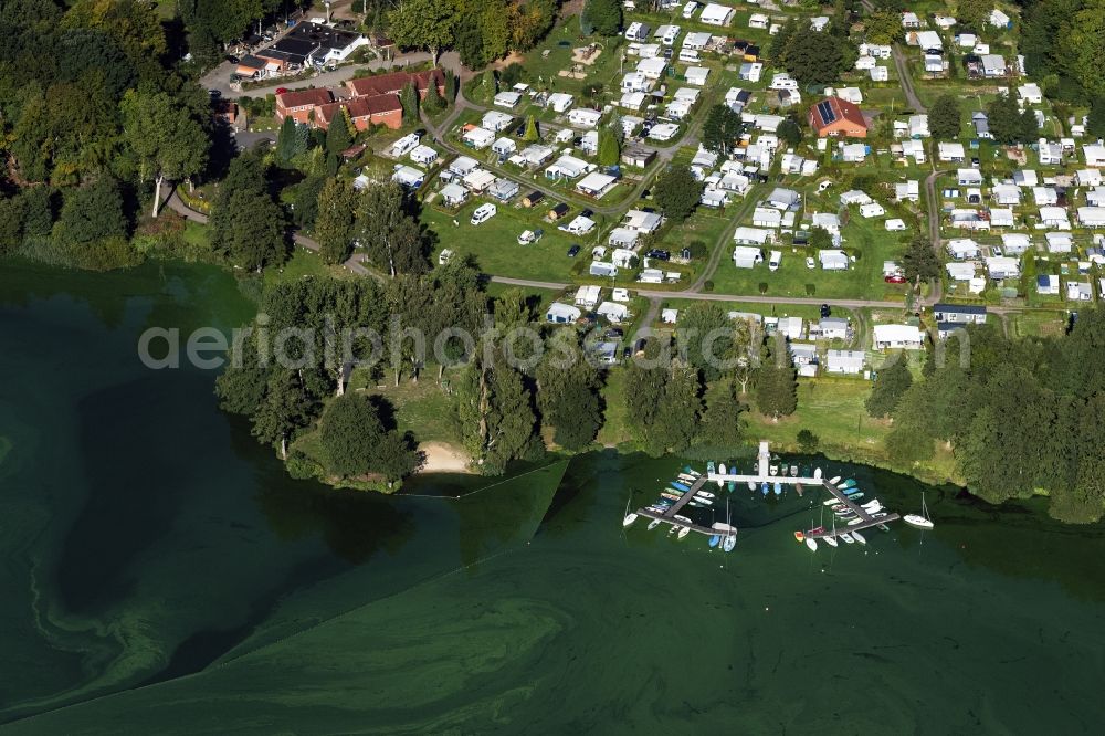 Wittenborn from above - Camping with caravans and tents in Wittenborn in the state Schleswig-Holstein, Germany
