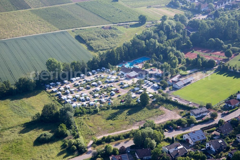 Billigheim-Ingenheim from the bird's eye view: Camping with caravans and tents in the district Ingenheim in Billigheim-Ingenheim in the state Rhineland-Palatinate