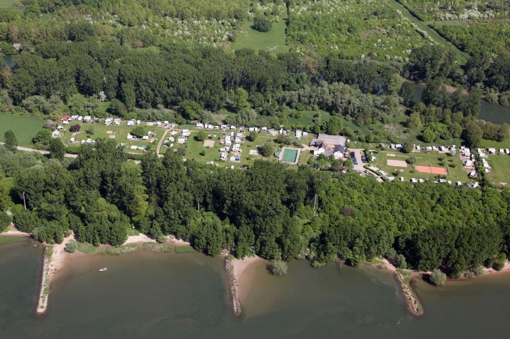 Trebur from the bird's eye view: Camping with caravans and tents on the Rhine Island Langenau in Trebur in the state Hesse, Germany