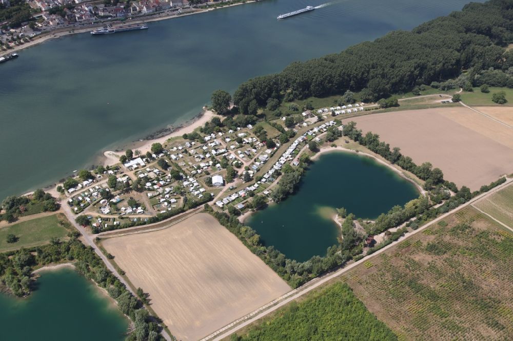 Trebur from the bird's eye view: Camping with caravans and tents at the Rhine river and the lake Vogel in Trebur Kornsand in the state of Hesse. Operator is the Sport- u. Camping Club Kornsand SCCK 86 eV