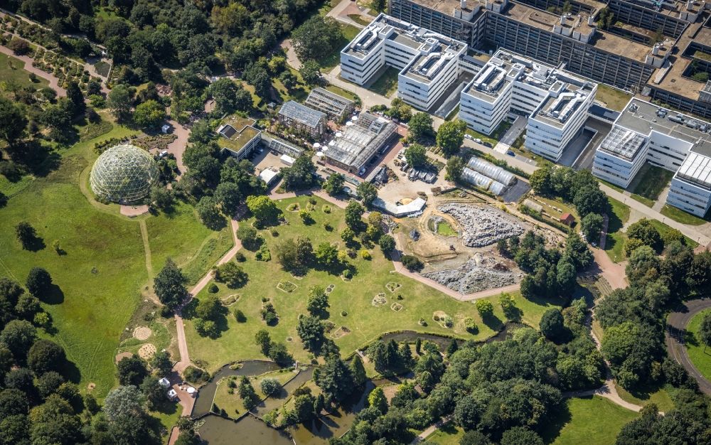 Aerial photograph Düsseldorf - Campus building of the university Heinrich Heine Universitaet with the biology site and botanical garden in Duesseldorf at Ruhrgebiet in the state North Rhine-Westphalia, Germany