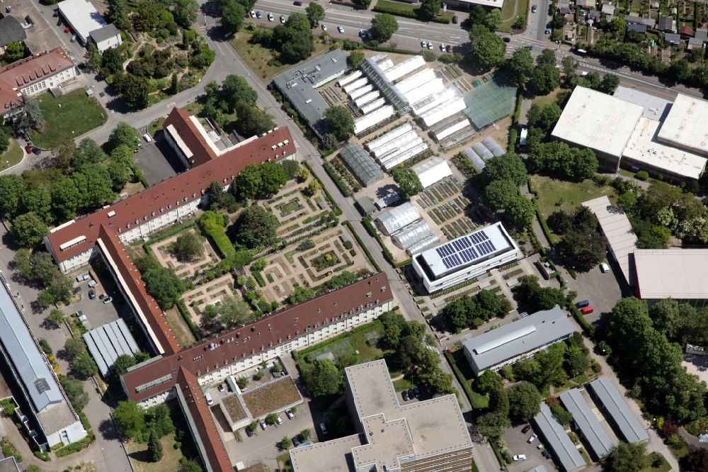 Aerial image Mainz - Campus grounds of the University Johannes Gutenberg in Mainz in the state Rhineland-Palatinate, Botanical garden and greenhouses