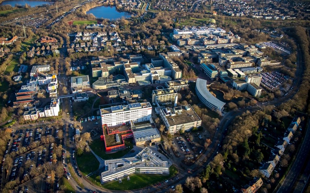 Aerial photograph Düsseldorf - Campus University- area Exzellenzcluster CEPLAS on Universitaetsstrasse in the district Bilk in Duesseldorf in the state North Rhine-Westphalia, Germany