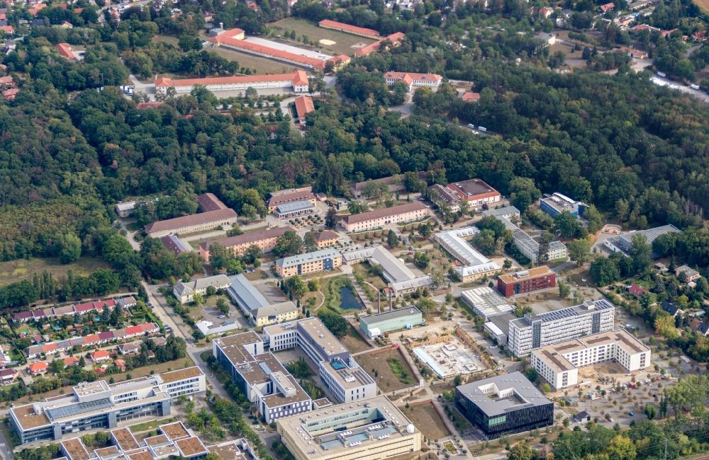 Aerial image Potsdam - Campus- university area with new construction site on the grounds of the University of Potsdam in the district Golm in Potsdam in the federal state of Brandenburg, Germany