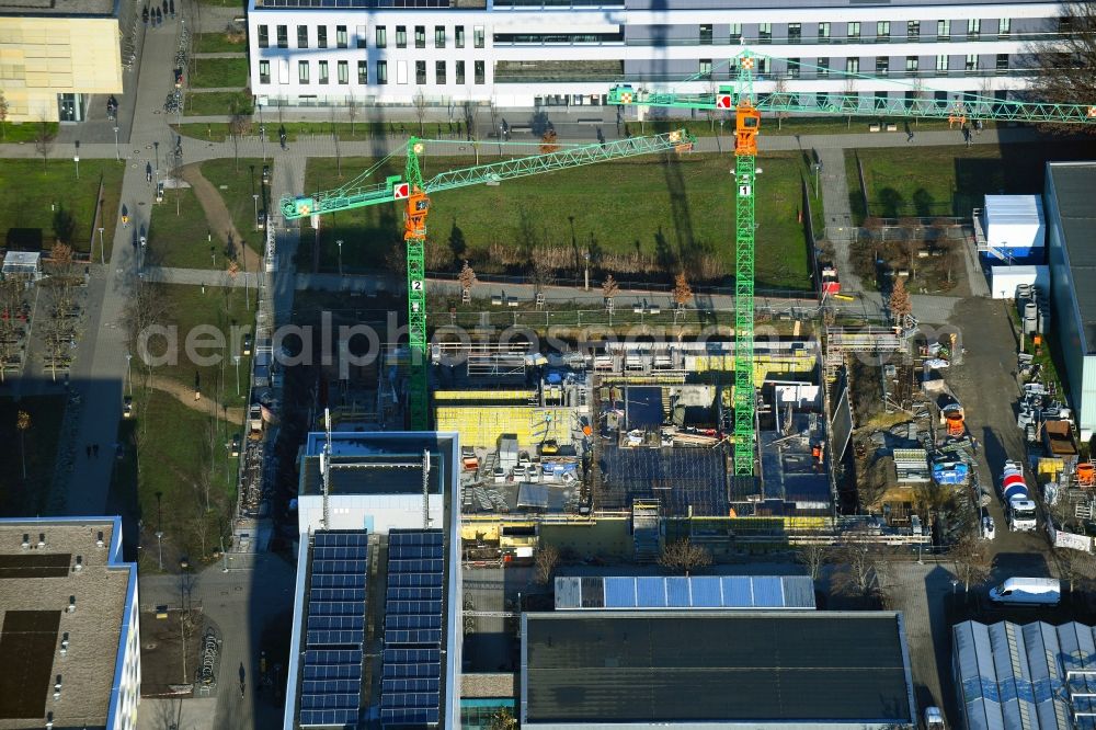 Potsdam from above - Campus- university area with new construction site on the grounds of the University of Potsdam in the district Golm in Potsdam in the federal state of Brandenburg, Germany