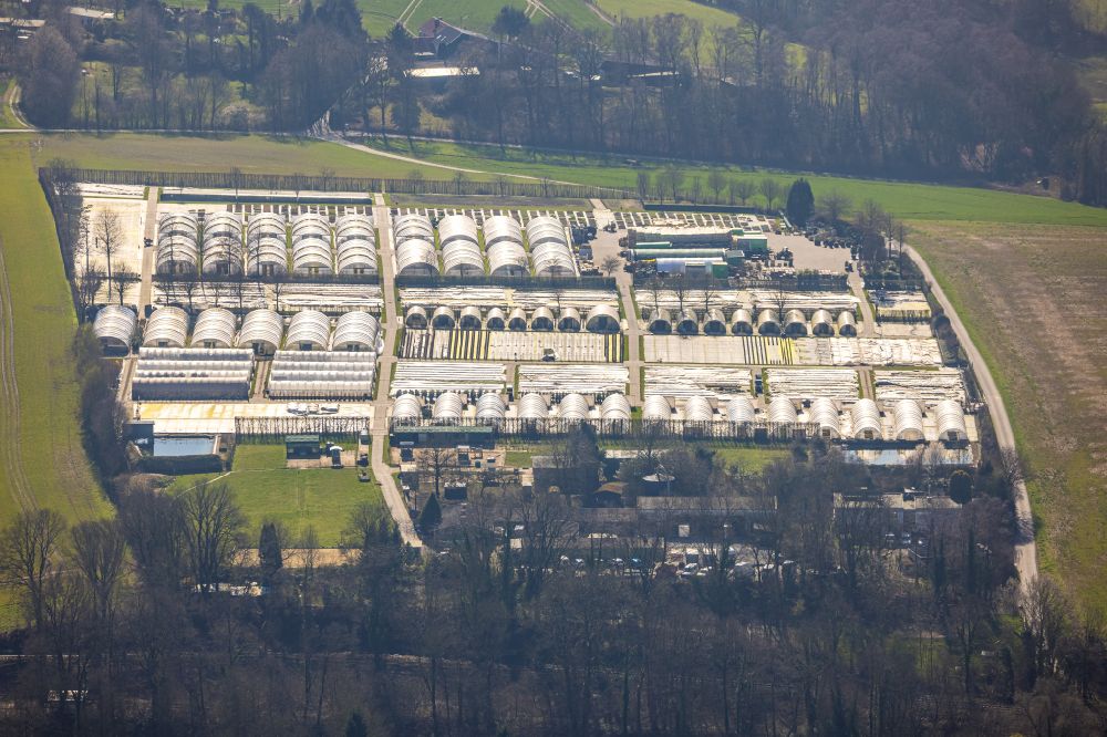 Aerial photograph Heiligenhaus - Rows of greenhouses for growing plants in Heiligenhaus at Ruhrgebiet in the state North Rhine-Westphalia, Germany