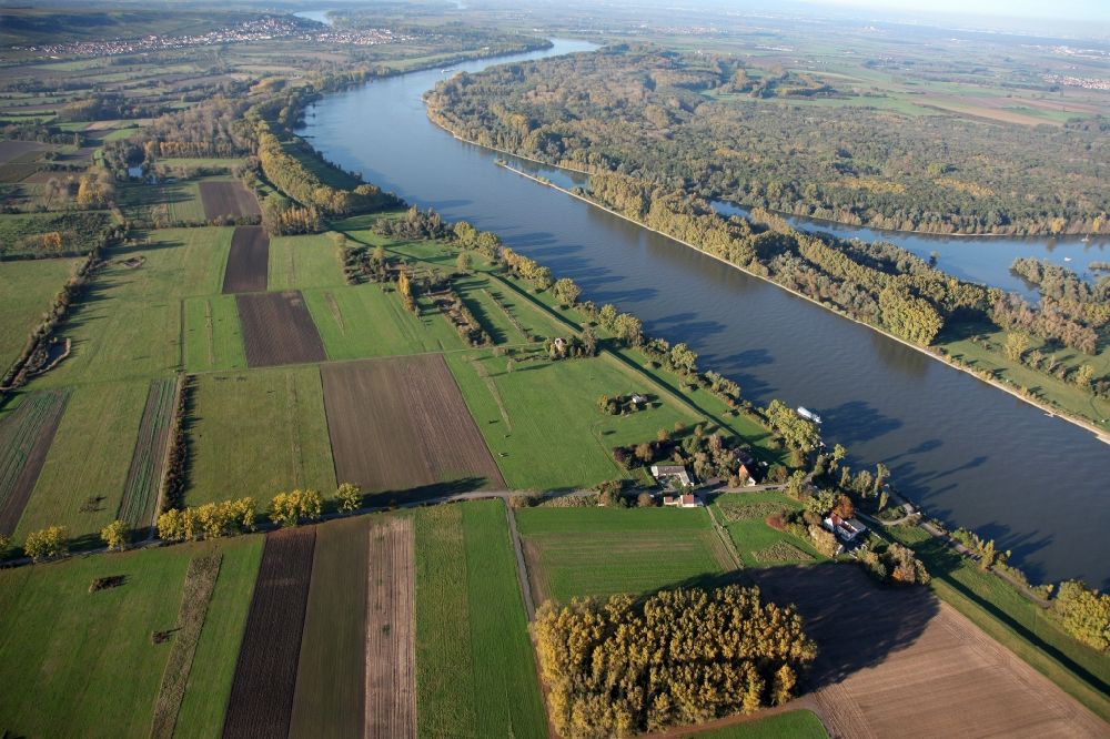 Aerial photograph Dienheim - Diking measures at Dienheim in the state of Rhineland-Palatinate. In the section of the left bank of the Rhine near Dienheim the levees are upgraded to protect against flood and partially rebuilt by the Structural and Approval Directorate south