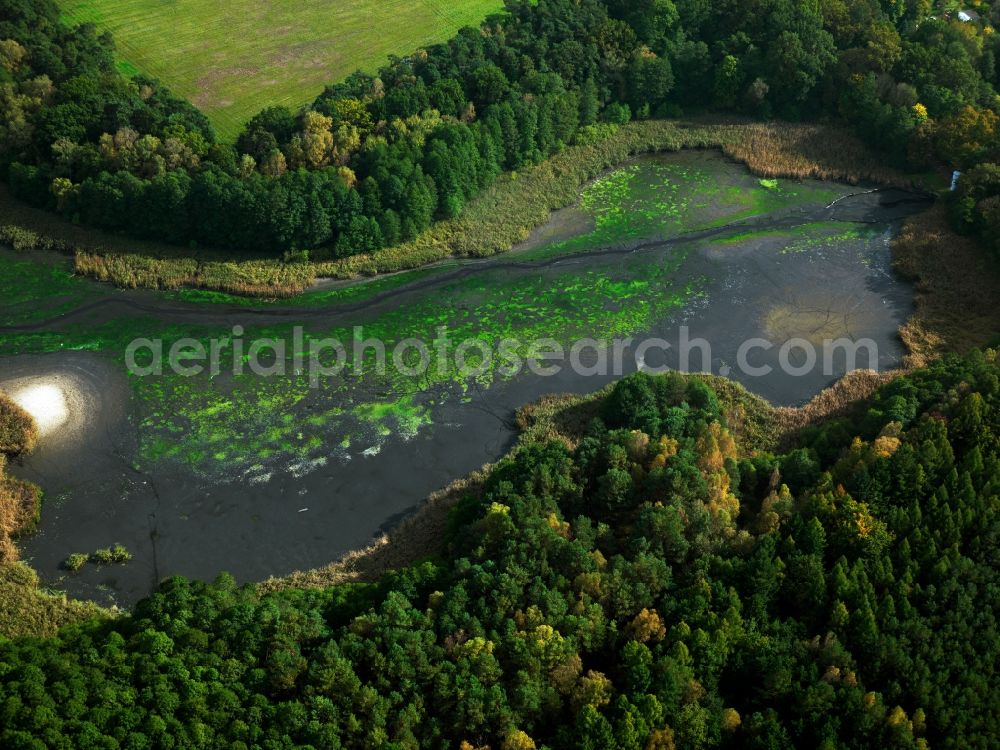 Aerial photograph Lieberose - The lake Dammer Teich in Lieberose in the state of Brandenburg. The lake lies within the moor and forests of the Dammer Moor region