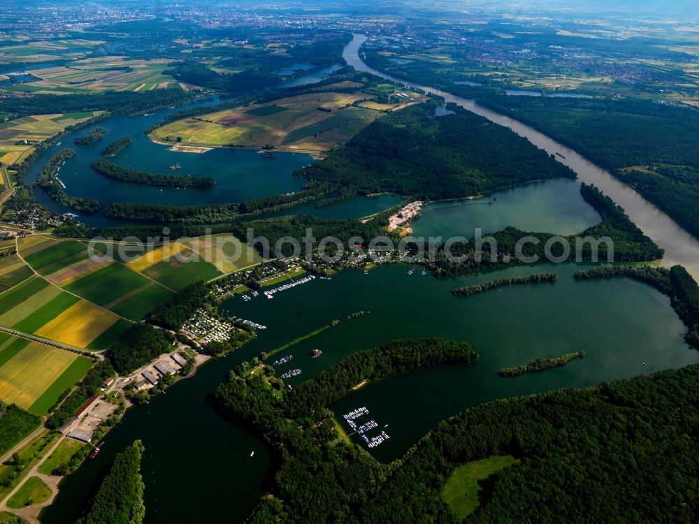 Aerial image Speyer - The Rhine and its surrounding landscape in the urban area of Speyer in the state of Rhineland-Palatinate. Speyer is an important town of the Rhine-Neckar metropolitan region. After its regulation, the landscape surrounding the Rhine is still characterised by old and disused river arms. The river also forms the border to the state of Baden-Württemberg