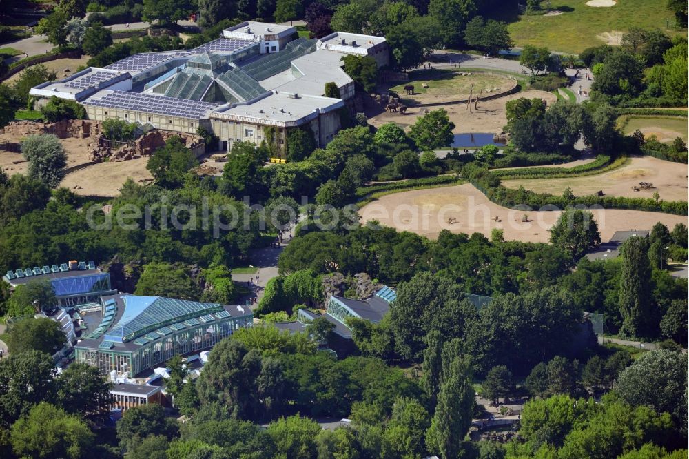 Berlin from the bird's eye view: The zoo Tierpark Berlin in the Friedrichsfelde part of the district of Lichtenberg in Berlin in the state of Brandenburg. The park is the biggest landscape zoological garden in Europe. View of the Alfred Brehm House in the foreground which includes a café and is a listed building. In the background is the big pachyderm building - the Elephant House - which is home to African and Asian elephants