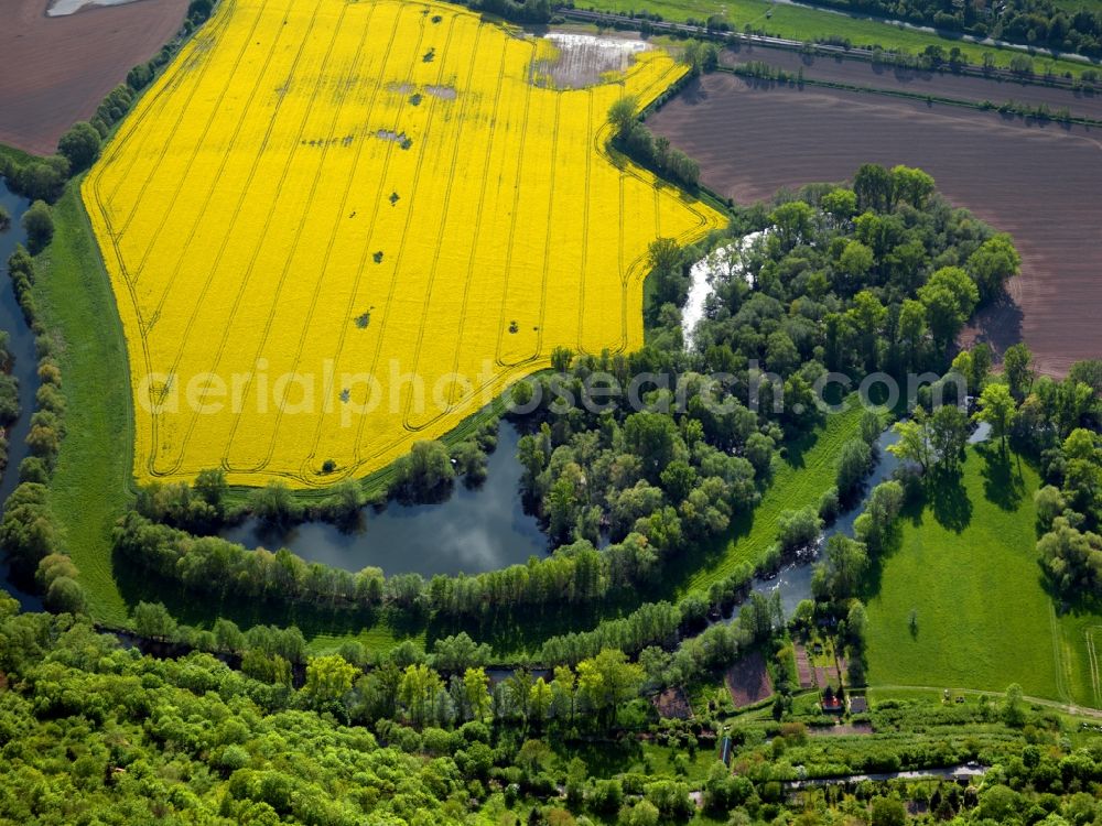 Aerial image Dornburg - The run of the river Saale near Dornburg in the Saale Holzland district of the state of Thuringia. The river runs between fields and acres, dominated by the yellow rapeseed and canola fields