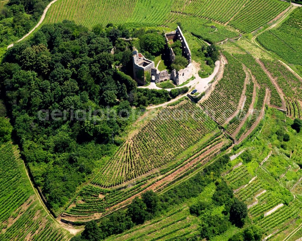 Staufen im Breisgau from the bird's eye view: Fortress Staufen in the city of Staufen im Breisgau in the state of Baden-Württemberg. The remains are those of a castle built on a hill. The ruins were refurbished a number of times and consists of the castle's enclosing wall