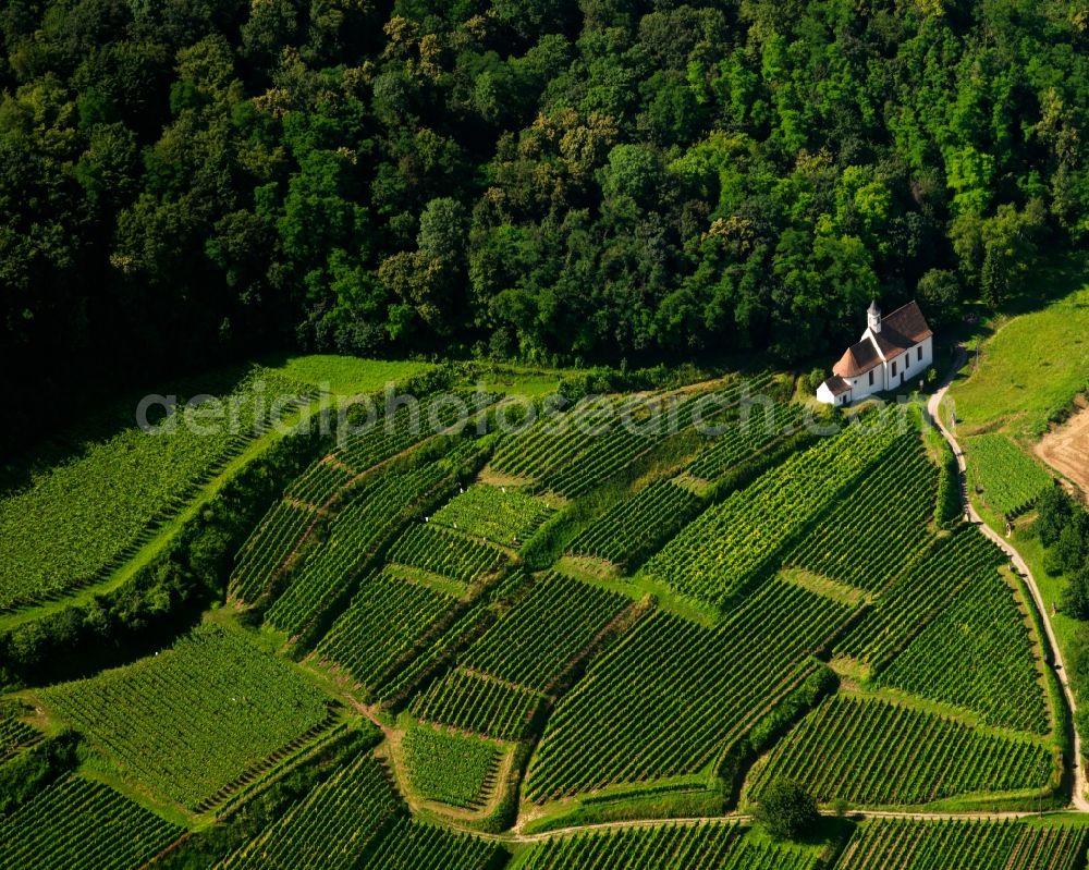 Vogtsburg im Kaiserstuhl from above - The small-Pantaleon Church is located at the edge of the valley just outside of the vineyards and is a special pilgrimage destination, held annually on the Sunday after the Feast of Saint Pantaleon. This church was completed in 1741 completed