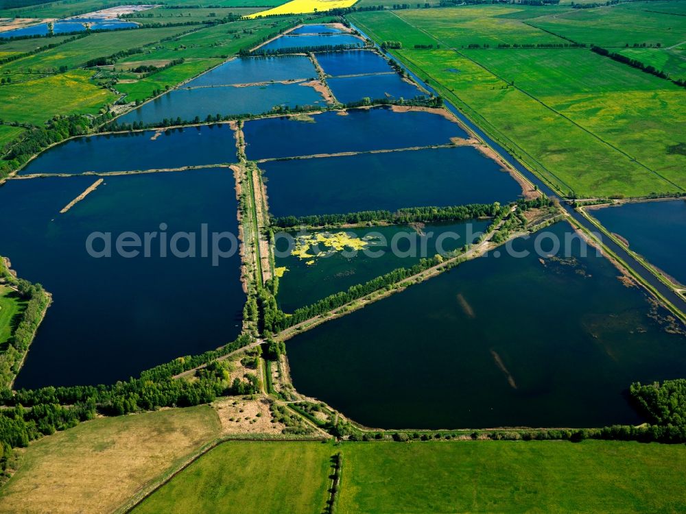 Aerial image Lewitz - The carp ponds of Neuhof in the Lewitz region in the state of Mecklenburg-Vorpommern. The carp ponds are located in the North of Neustadt-Glewe and consist of 5 ponds and 7 smaller pools, filled by a channel system. They belong to a nature preserve area, one of four in the region of Lewitz