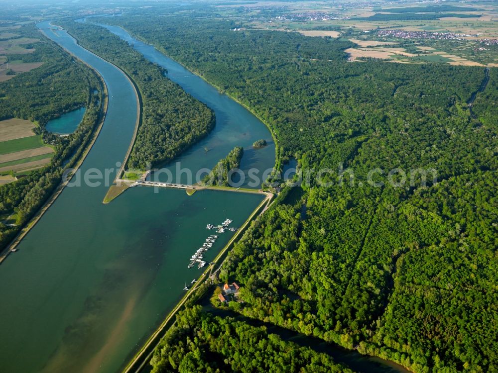 Weisweil from the bird's eye view: The meadows and wetlands on the river Rhine in Weisweil in the state of Baden-Württemberg. The area was made a nature preserve area in 1998 and is now called Rheinniederung Wyhl-Weisweil. Besides, there is also a dam and a natural island in the river