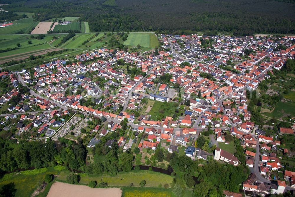 Berg (Pfalz) from the bird's eye view: Village view in Berg (Pfalz) in the state Rhineland-Palatinate